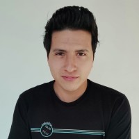 Luis Carlos Rosas Chaves