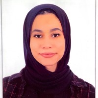 Nour Sleem