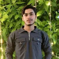 Mirza Saif