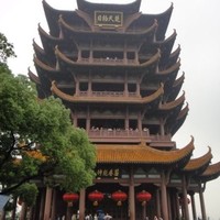 魏太龙