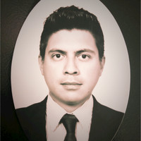 Luis Enrique Alfaro Peña