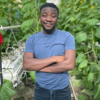 Damola Adegboye