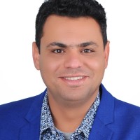 Amr Elsaied Fathi