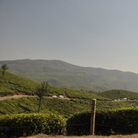 Kerala Highrange