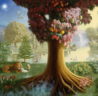 Daniel Harrity