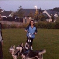 shelley bovington