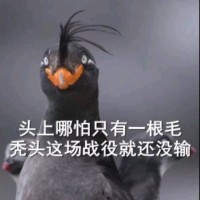 宋春丽