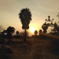 Agasthiya Sangar