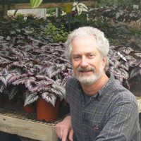 Steve Rosenbaum