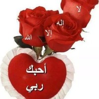 محمد عبدو