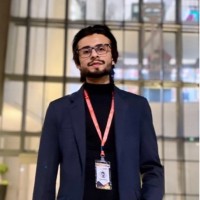 Muhammad Hamza Naeem