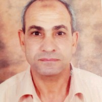 محمد ممدوح محمد قاسم