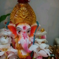 Shivani Suthar
