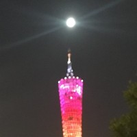 张森泉