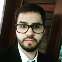 Raphael Guedes Spinelli