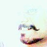 Ravichandra Nampelly