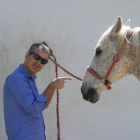 Ricardo Garcia Del Pino