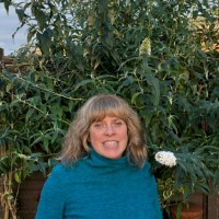 Jo Matthews C.WEM MCIWEM