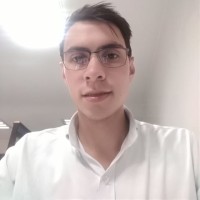 andres felipe puentes diaz