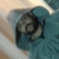 abhishek chakraborty