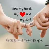 ꧁Direction of light꧂