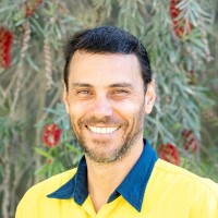David Franchi