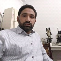 ASIF QAISRANI