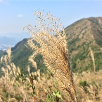 Edward Li