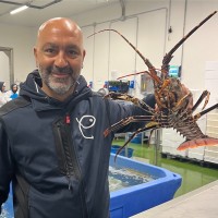 Giuseppe Furleo Semeraro