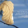 Zeenat Yasmeen