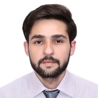Muhammad Hamid