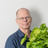 Dirkjan Kok