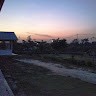 Edi Dwiyono