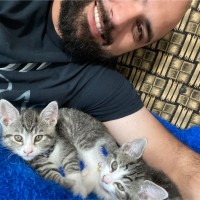 Sam Aliyannezadi
