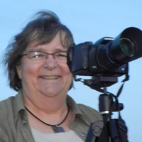 Cathy Bennington