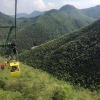 陈中亮