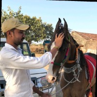 Kripalsinh Chavda
