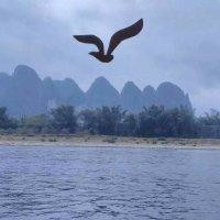 王保义