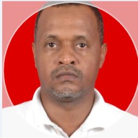 Suliman Ahmed