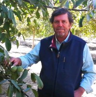 José Miguel Valdés D.