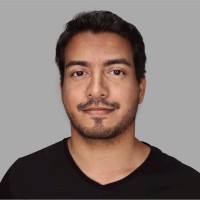 Vinicius Lima Alves De Oliveira