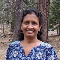 Asha Hariharan