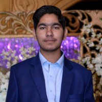 Talha Pervez