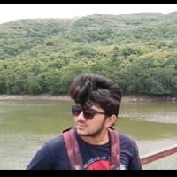 Yash Mesvaniya