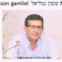 Sasson Gamliel