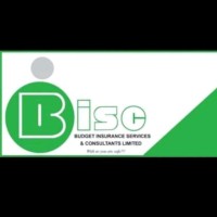BUDGET INSURANCE