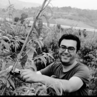 Coşkun Deniz