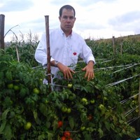 Elton Caetano