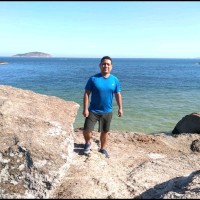 Jonne Vidal Geophysicist/Surveyor/Eiva/Oasis Montaj/Us Visa B1