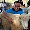 Lawrence Lam